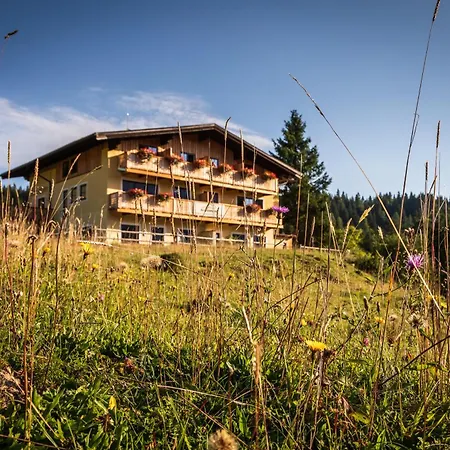 Almhaus Alpenrose Postalm Seidegg