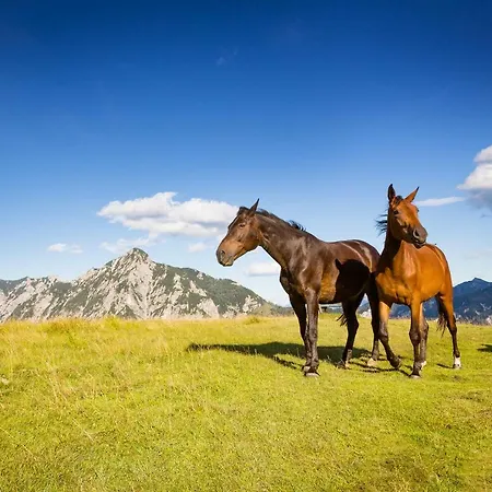 Almhaus Alpenrose Postalm Jaktstuga Seidegg