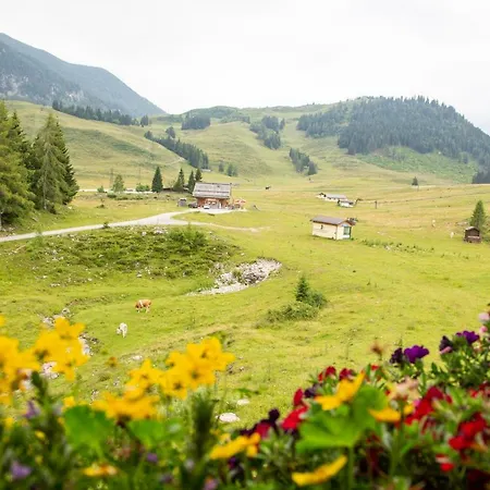 Almhaus Alpenrose Postalm Seidegg