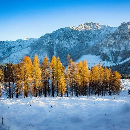 Almhaus Alpenrose Postalm Деревянный коттедж *