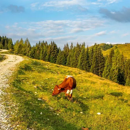 Almhaus Alpenrose Postalm Jaktstuga *