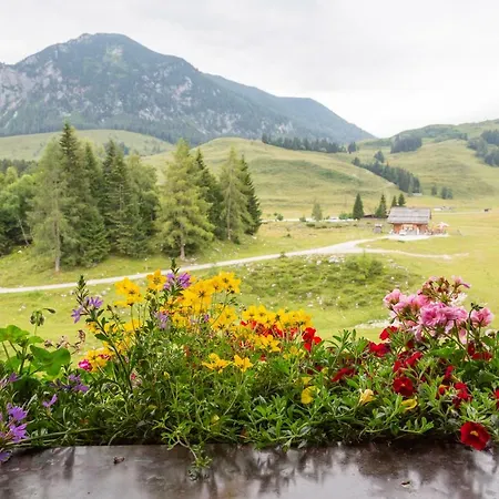 Almhaus Alpenrose Postalm Lodge *