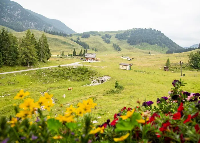 Almhaus Alpenrose Postalm Seidegg