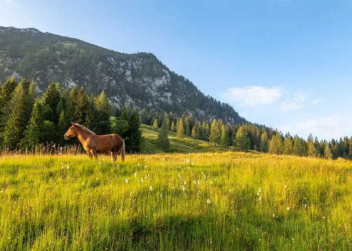 Almhaus Alpenrose Postalm