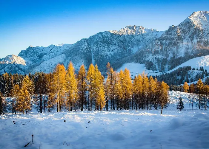 Almhaus Alpenrose Postalm Lodge *