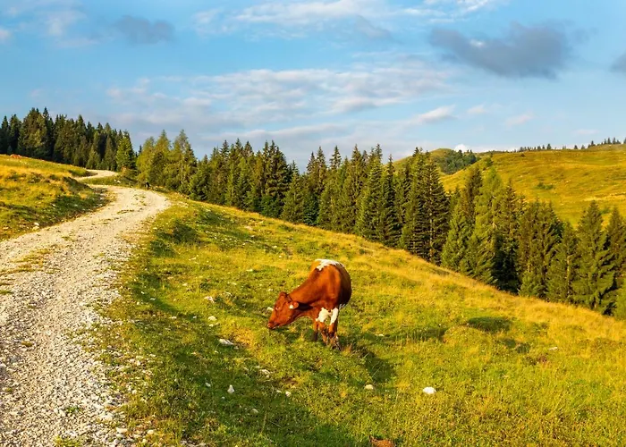 Almhaus Alpenrose Postalm Lodge *