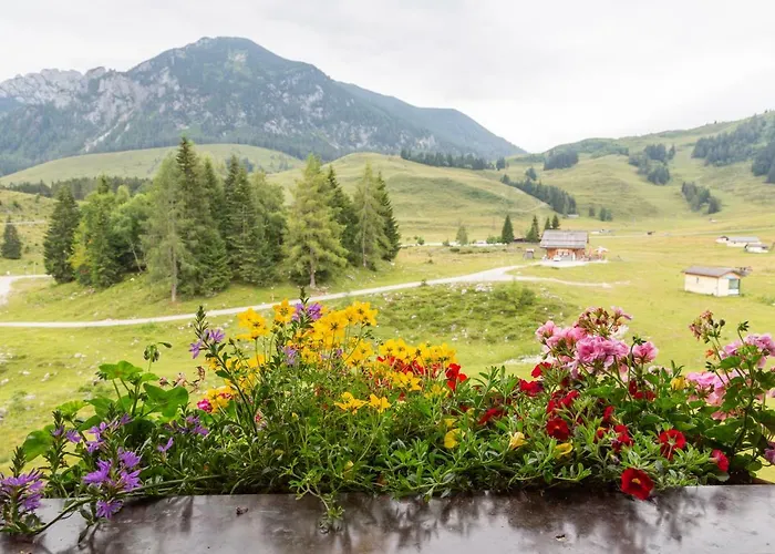 Almhaus Alpenrose Postalm Lodge *